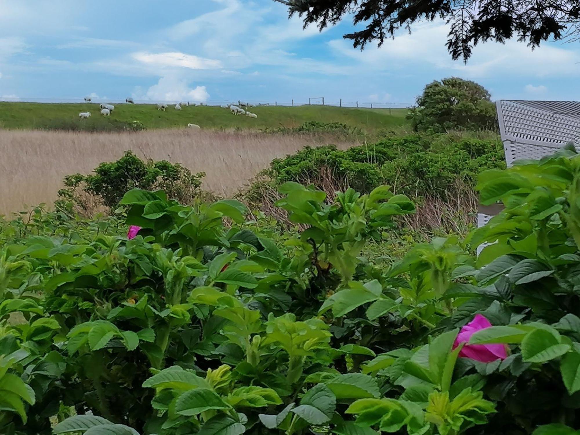 Ferienwohnungen Peters Sylt 外观 照片